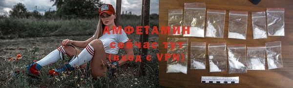гидра Лагань