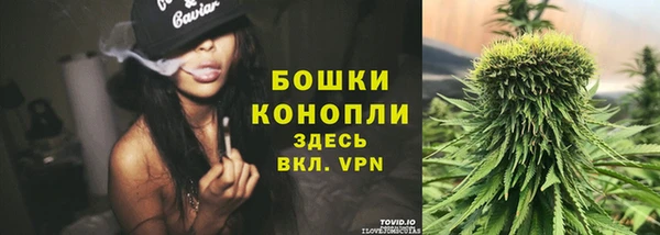 гидра Лагань