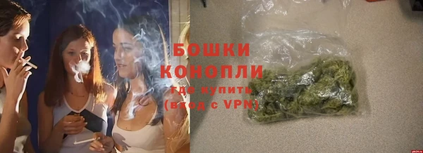 гидра Лагань