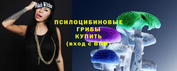 гидра Лагань