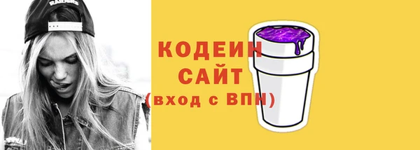 мдпв Лабытнанги