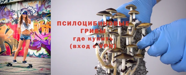мдпв Лабытнанги