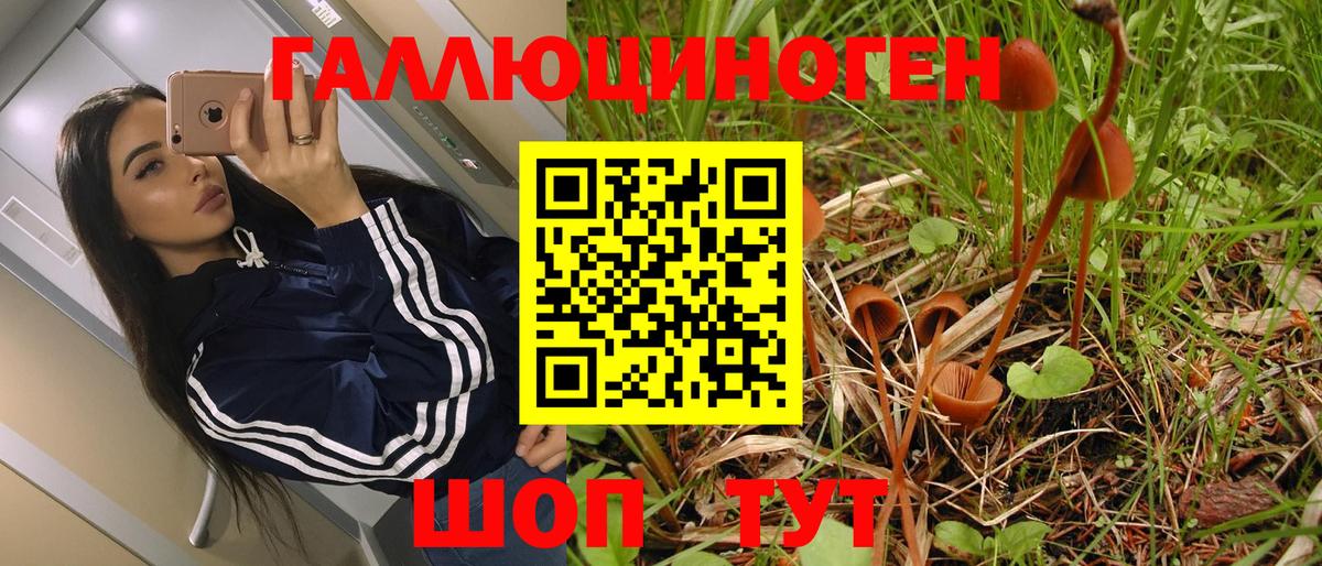 Галлюциногенные грибы ЛСД  Галлюциногенные грибы Magic Shrooms  Новошахтинск 