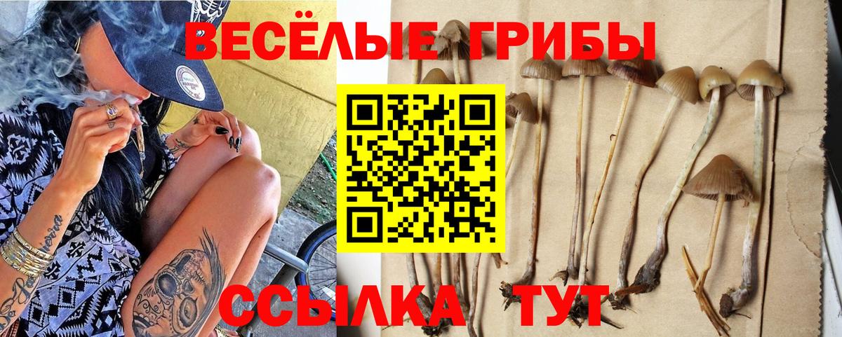 купить   Галлюциногенные грибы MAGIC MUSHROOMS  Новошахтинск  Вход с VPN  Галлюциногенные грибы мухоморы 