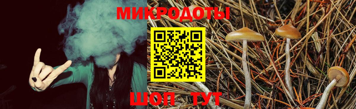 Галлюциногенные грибы Magic Shrooms Новошахтинск