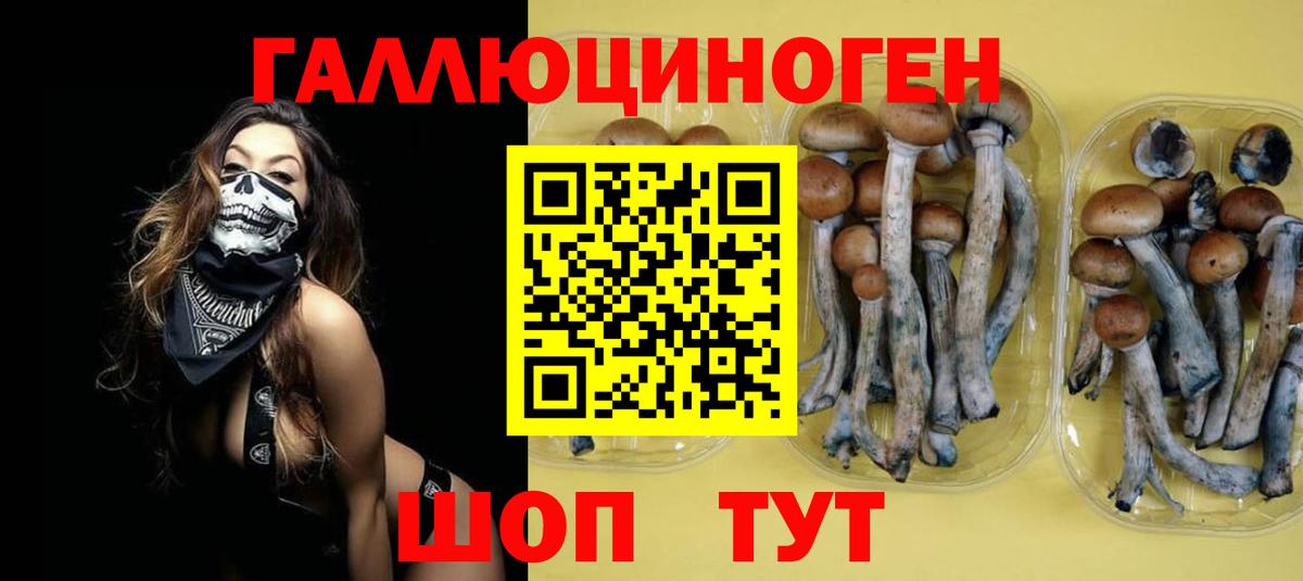 Конопля  Амфетамин  Мефедрон  Меф  Бошки Шишки  Новошахтинск  Гашиш  Вход с VPN  КОКАИН 