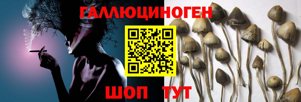 Псилоцибиновые грибы Magic Shrooms Новошахтинск